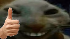 xddthumbsup emote