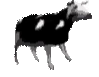 polish_cow emote
