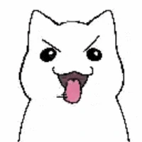 crazy_cat emote