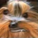 forsenBB emote