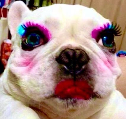 doggydiva emote
