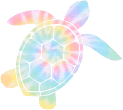 TyeDye_turtle emote