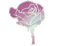 FlowerPink2 emote