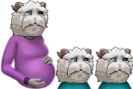 PoroFamily emote