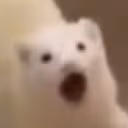 POG emote