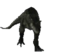 strutCarn emote