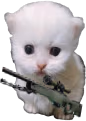 awpert emote