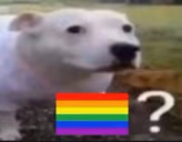 gay emote