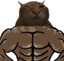 buhff emote