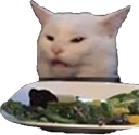 WomanYellingAtCat emote