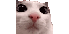plinkverge emote