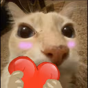 doselove emote