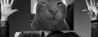 cinebuh emote