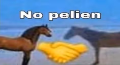 nopelien emote