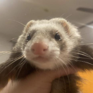 itmepeachy avatar