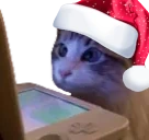WatchingStream emote
