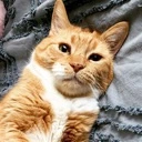 CarBedLaydown emote