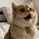 0_0 emote