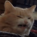 CE_DISGUSTING emote