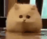 omgHi emoji