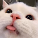SillyPag emote