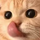 CatYum emote
