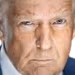 trumpstern emote