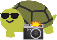 Turtle4K emote