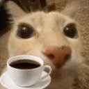 dosecafe emote