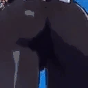 ShenhASS emote