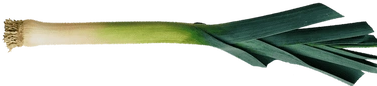 LEAK static emote