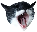 QaatHa emoji