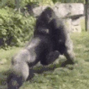 Monkefight emote