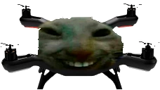 xdDrone emote