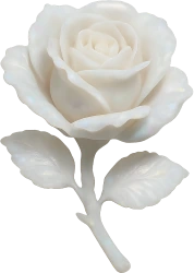 White_rose emote