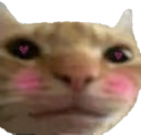 catblush emote