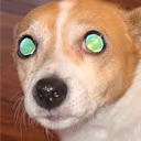Dawg emote