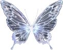 butterfly emote