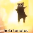 holatonotos emote