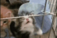 HARDSTUCK emote