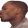 kiss_R emote