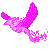 Pink_Phoenix emote