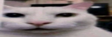 Eh emote