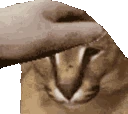 floppapet emoji