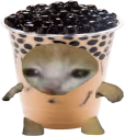 bobacat emote