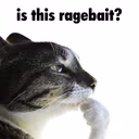 IsThisRagebait emote
