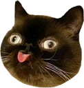 derpblep emote