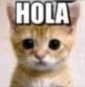 HOLA emote