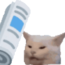 Newspaper_cat animated emote