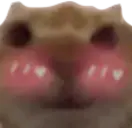 FlushedCat emote
